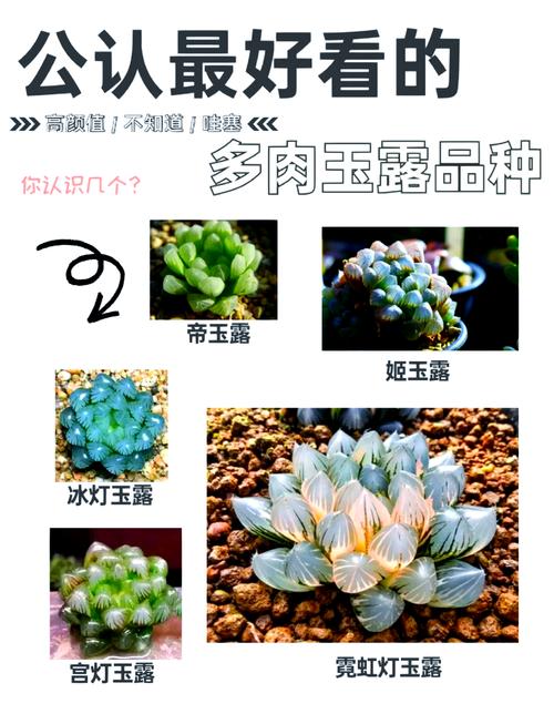 云南批发玉露香烟价格【云南批发玉露香烟价格多少】