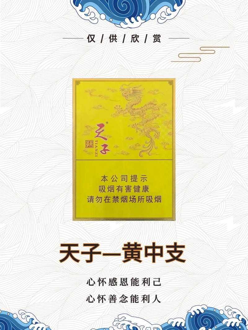 探寻6元天子香烟的神秘魅力，揭秘其背后的厂家传奇